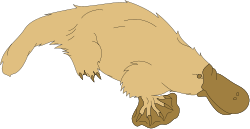 Duck with Head Down and Wings Spread - Vibrant Clipart Design