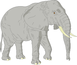 Elephant with Tuffy Tail Clipart: Adorable Animal Illustrations