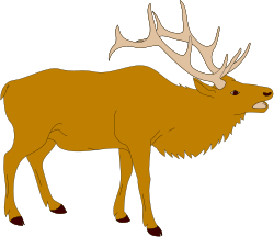 Brown Deer with Antlers - Stunning Clipart for Nature Lovers