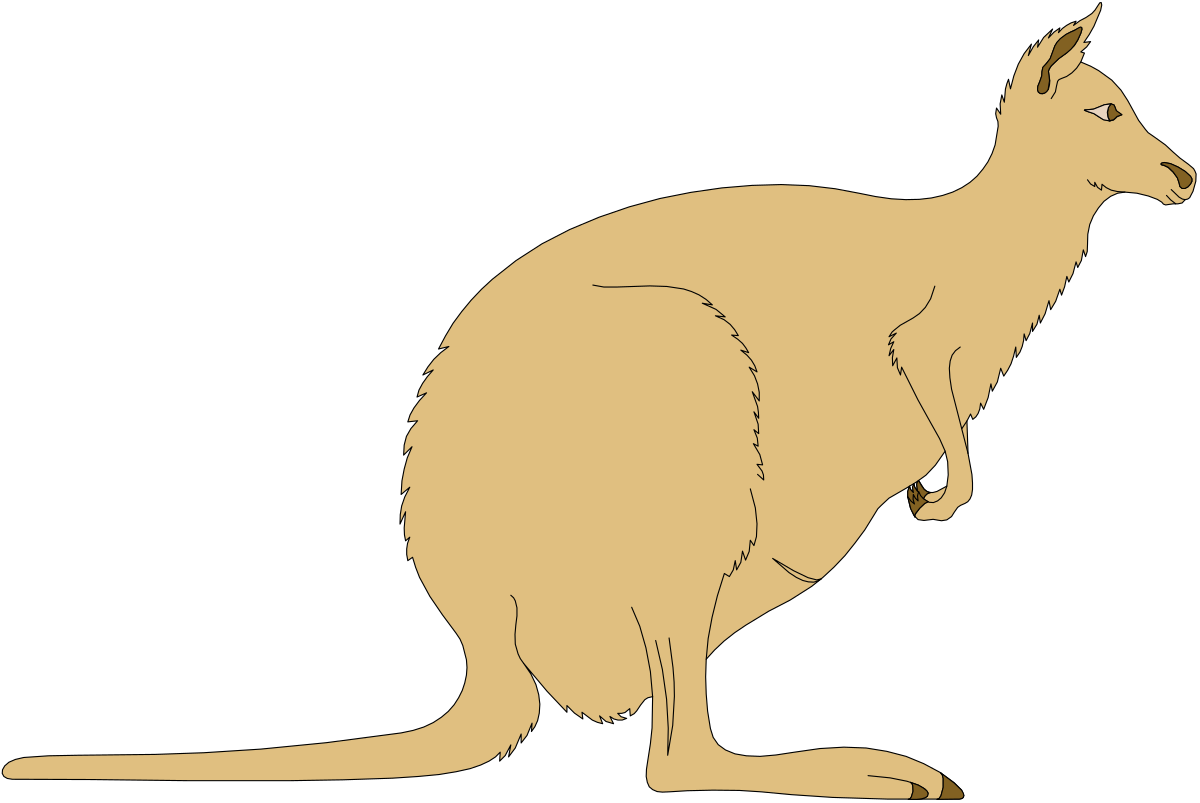 Kangaroo Sitting on Ground - Playful Wildlife Clipart
