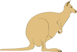 Kangaroo Sitting on Ground - Playful Wildlife Clipart