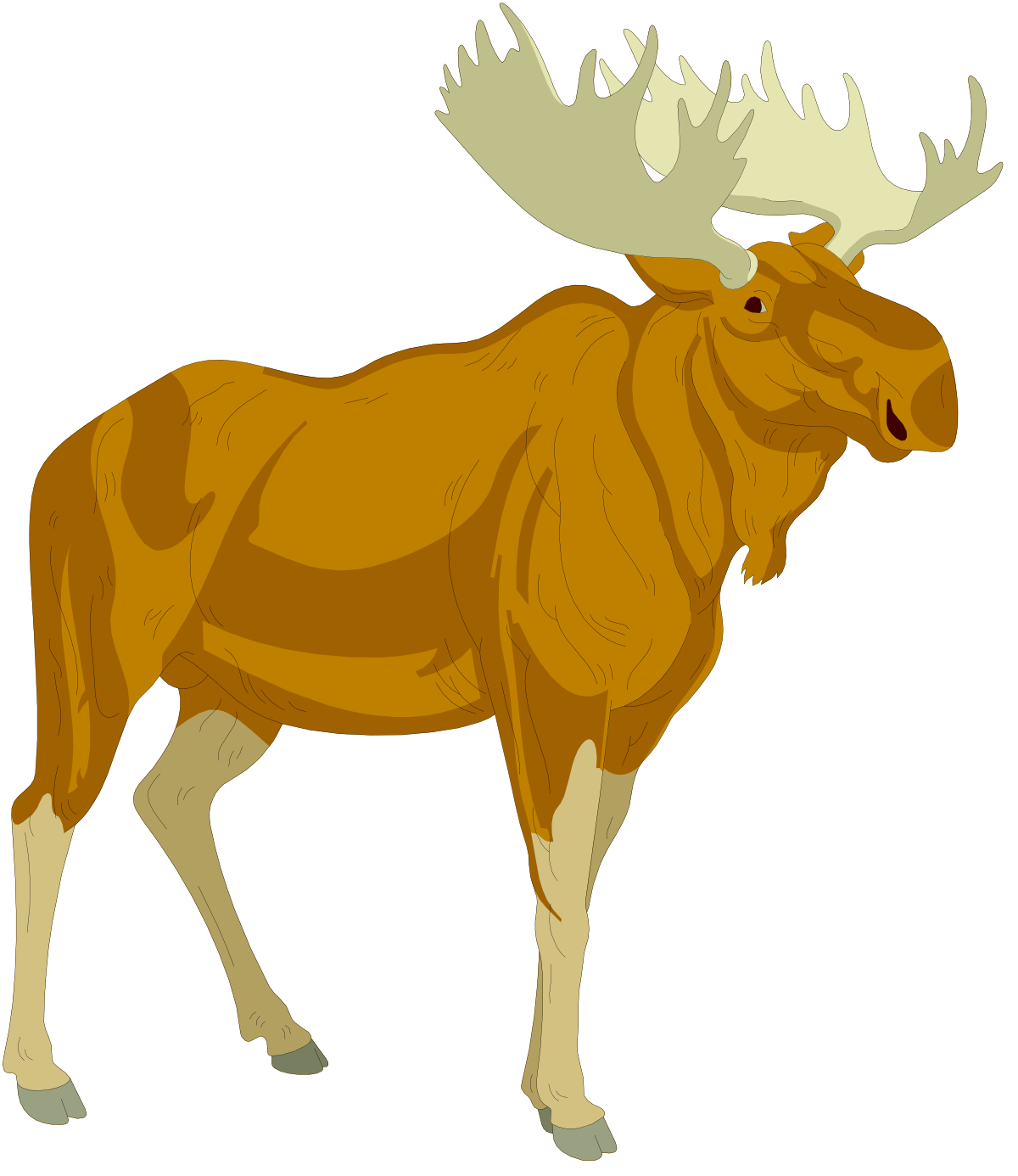 Moose Standing in the Dark: Stunning Wildlife Clipart