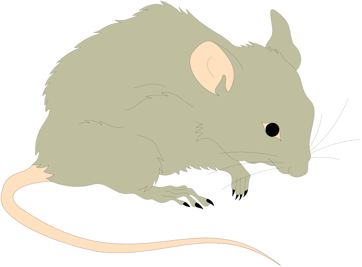 Mouse Clipart with a Long Tail - Perfect for Your Creative Projects