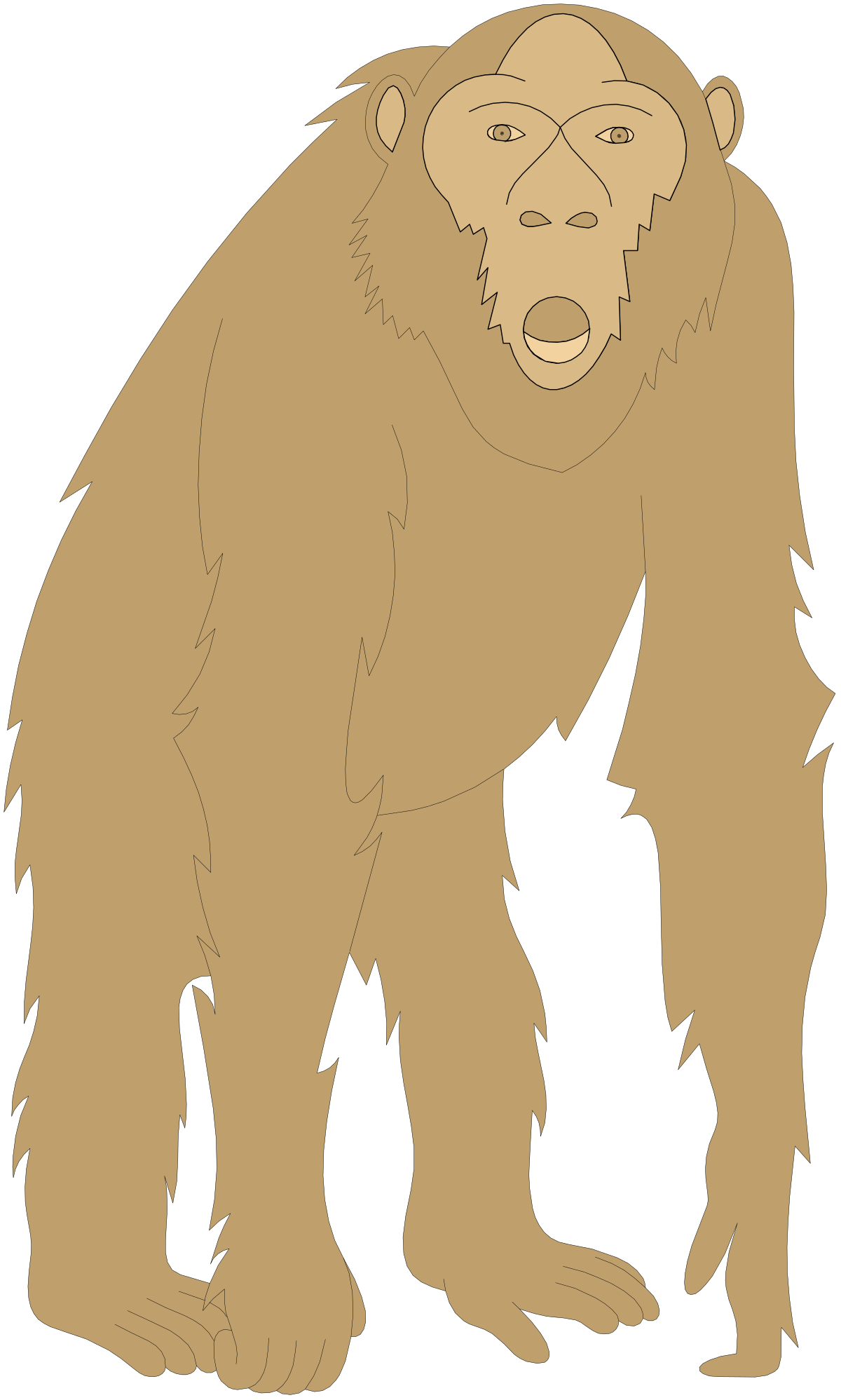 a brown bear standing on its hind clip art png transparent Brown Bear Standing on Hind Legs - Wildlife Clipart