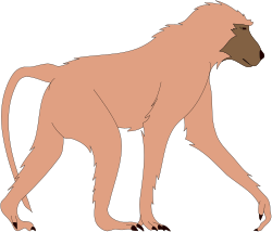 Lion Walking on Black Background - Striking Clipart Illustration