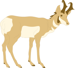 Goat Standing on Black Background - Stunning Clipart Image