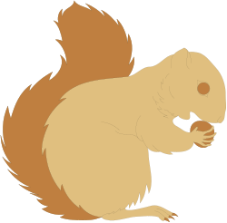 Squirrel Eating Nut - Adorable Animal Clipart for Your Projects