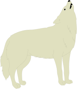 Wolf Silhouette on Black Background - Stunning Clipart for Your Projects