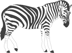 Zebra Standing in Darkness - Stunning Clipart for Your Projects