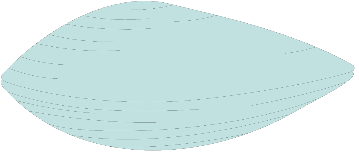 Blue Shell Clipart: Vibrant and Versatile Marine Imagery