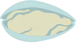 Sand Ball Clipart - Perfect for Beach-Themed Projects