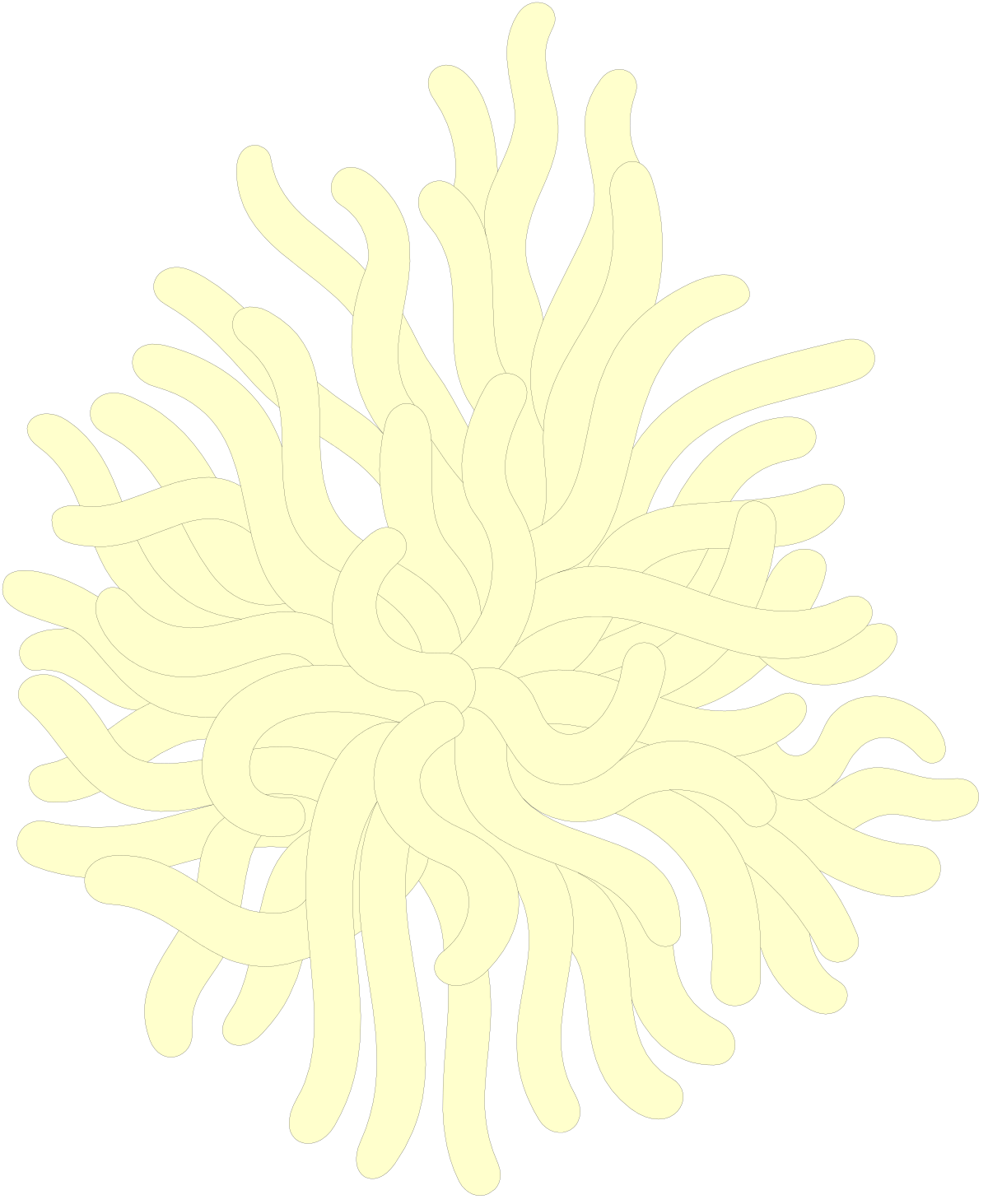 Stunning White Flower on Black Background Clipart