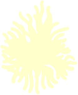 Stunning White Flower on Black Background Clipart
