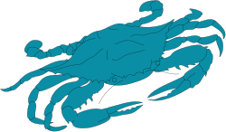 Blue Crab Clipart with Claws on Back - Vibrant Marine Illustration