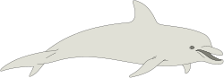 Dolphin Swimming in Ocean Clipart - Vibrant Marine Life Illustration
