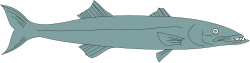 Big Mouth Fish Clipart: Vibrant Underwater Scene