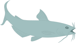 Long-Tailed Fish Clipart: Vibrant Aquatic Illustration