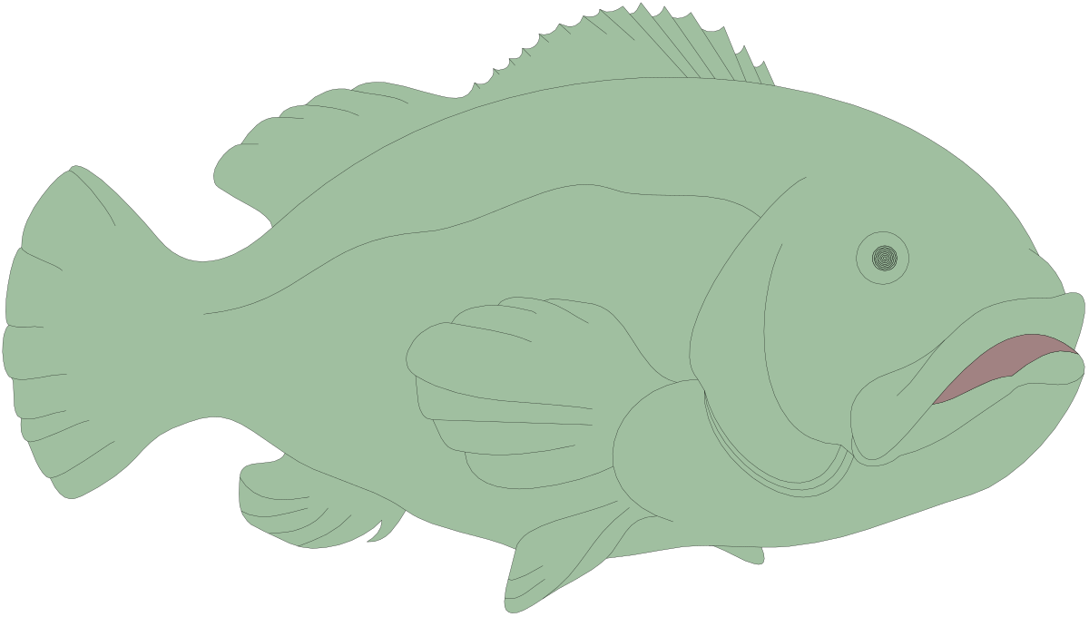 Pink Tongue Fish Clipart: Vibrant Aquatic Life