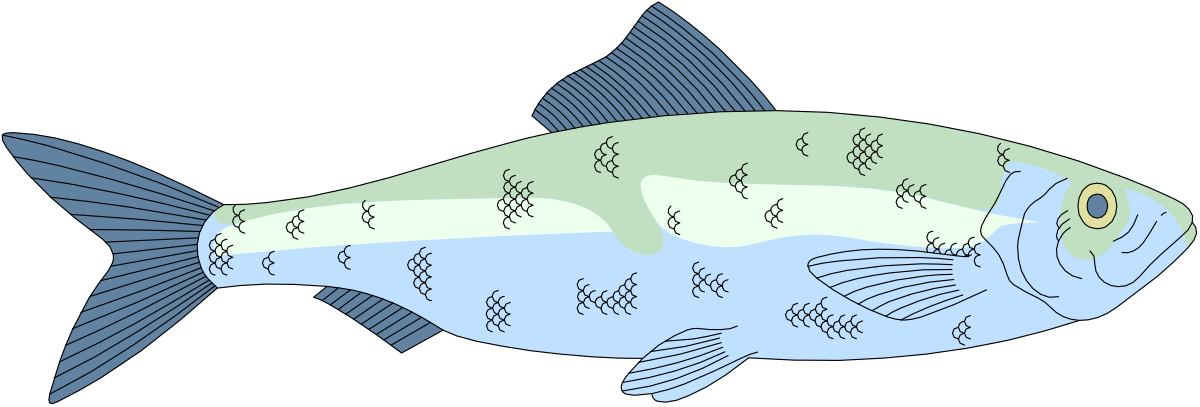 Blue Body Fish with Yellow Fins Clipart - Vibrant Marine Life Graphics