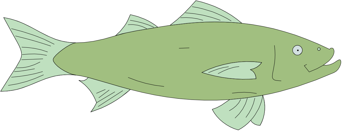 Green Fish on Black Background - Stunning Clipart for Your Projects