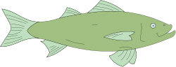 Green Fish on Black Background - Stunning Clipart for Your Projects