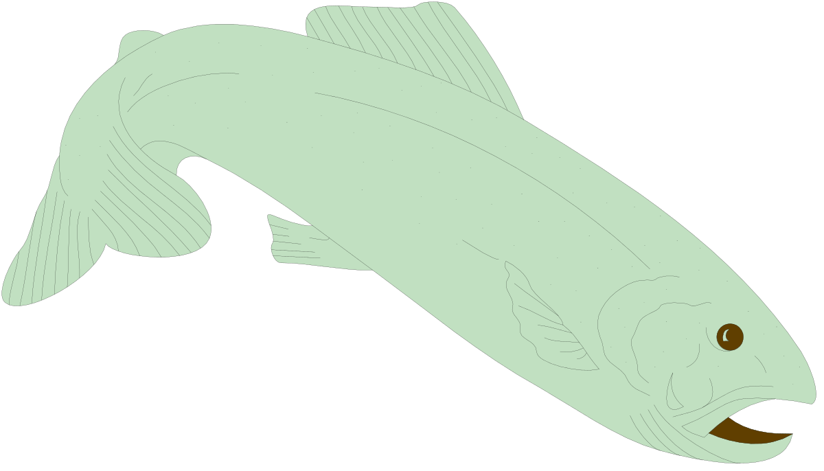 a fish with a brown eye clip art png transparent Brown Eyed Fish Clipart for Vibrant Designs