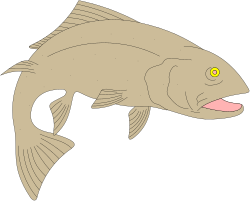 Open Mouth Fish Clipart  Vibrant Marine Life Illustration