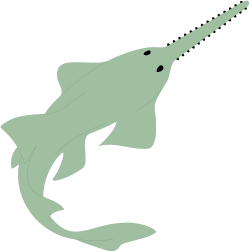 Green Fish Silhouette on Black Background Clipart