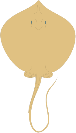 Stingray Clipart: Vibrant Underwater Scene with Stingrays