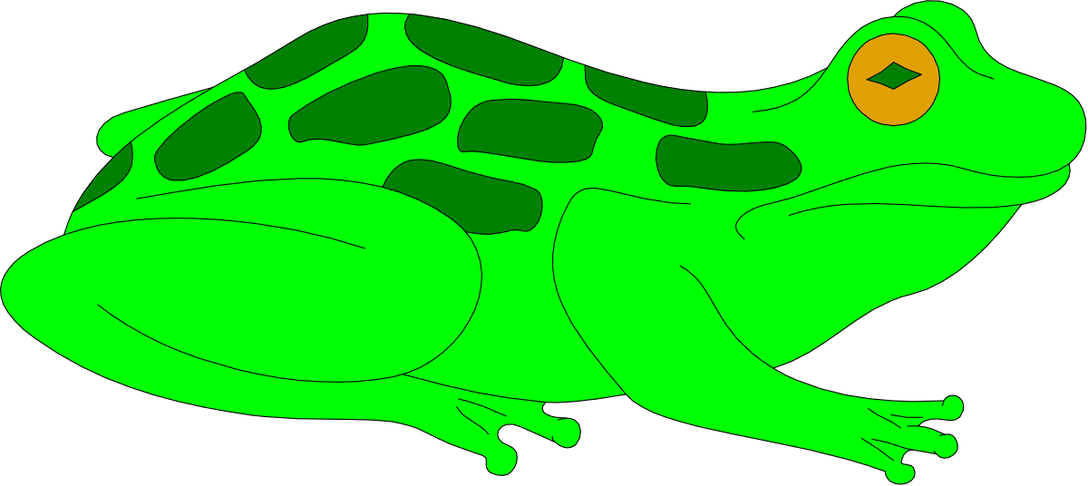 a green frog with a black background clip art png transparent Green Frog Clipart on Black Background - Vibrant and Playful