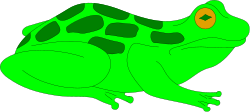 Green Frog Clipart on Black Background - Vibrant and Playful