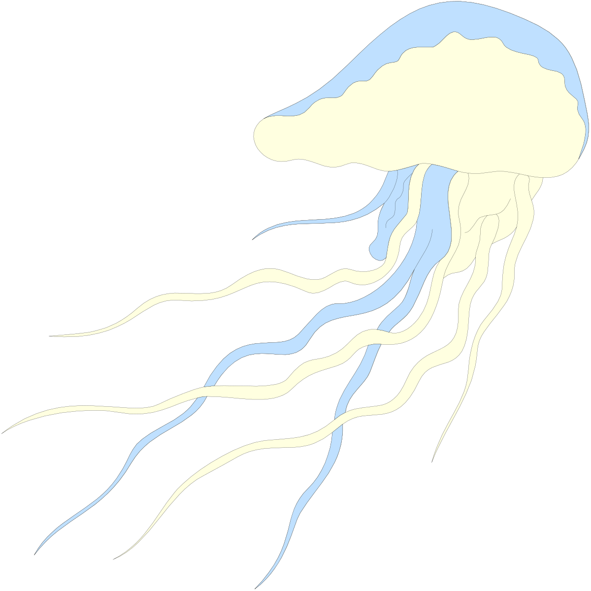 a jellyfish swimming in the ocean clip art png transparent Jellyfish Swimming in the Ocean - Vibrant Underwater Clipart