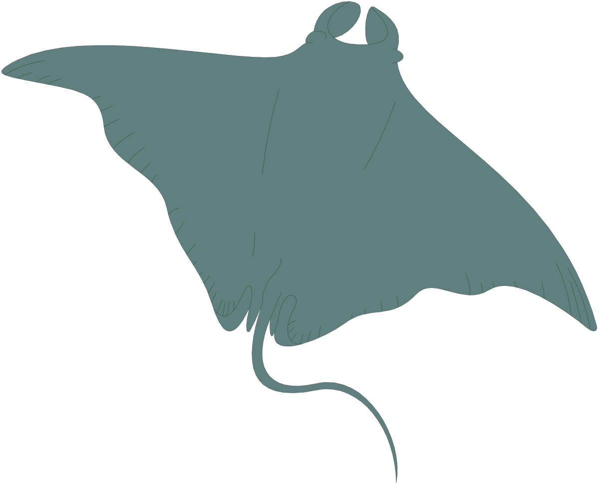 a sting sting sting sting sting sting sting sting sting sting sting sting sting sting sting sting sting sting sting sting clip art png transparent Sting Ray Clipart: Vibrant Ocean Life Illustrations