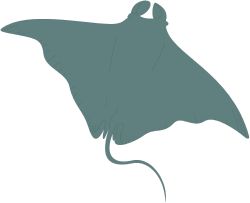 Sting Ray Clipart: Vibrant Ocean Life Illustrations