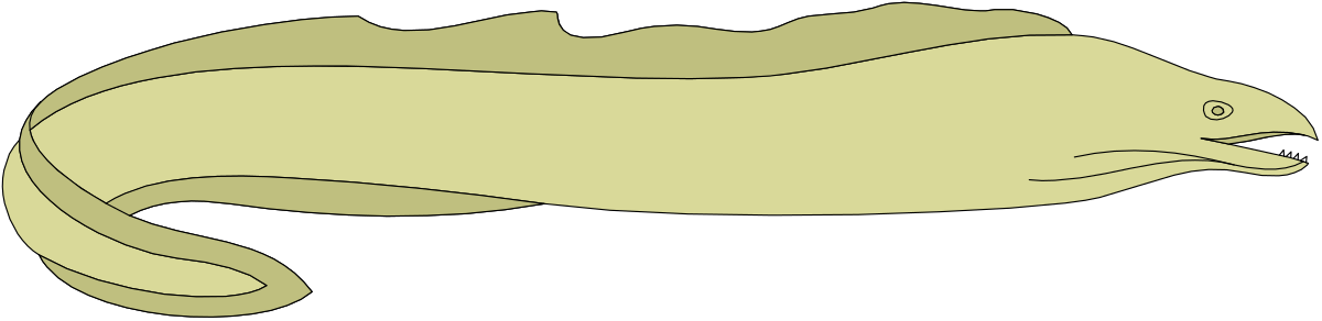 Cartoon Whale Clipart with Long Tail for Fun Designs
