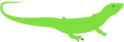 Green Lizard Clipart on Black Background - Eye-Catching Reptile Graphics