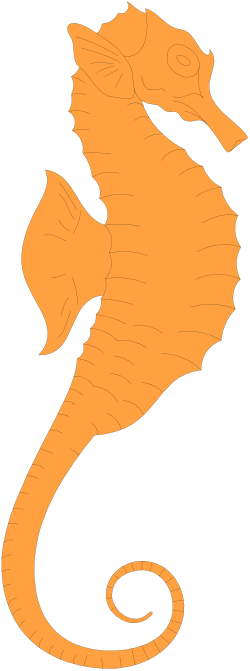 Seahorse Clipart: Long-Tailed Marine Creature for Creative Projects
