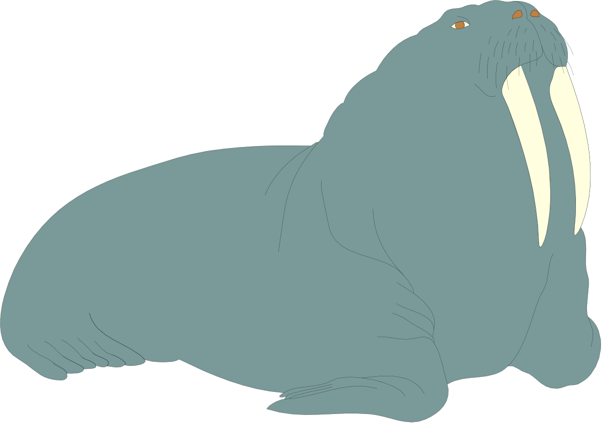Seal Sitting on Ground Clipart for Nature Themes