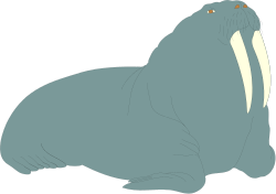 Seal Sitting on Ground Clipart for Nature Themes