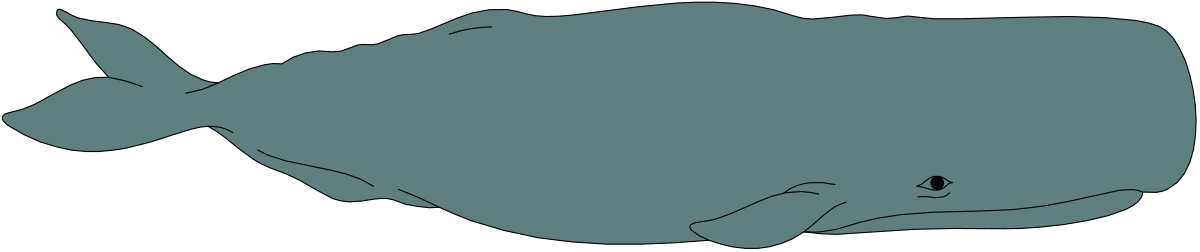 a blue fish with a black background clip art png transparent Blue Fish Clipart on Black Background - Vibrant Marine Life Illustration