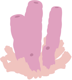 Pink Corals Clipart for Your Creative Projects