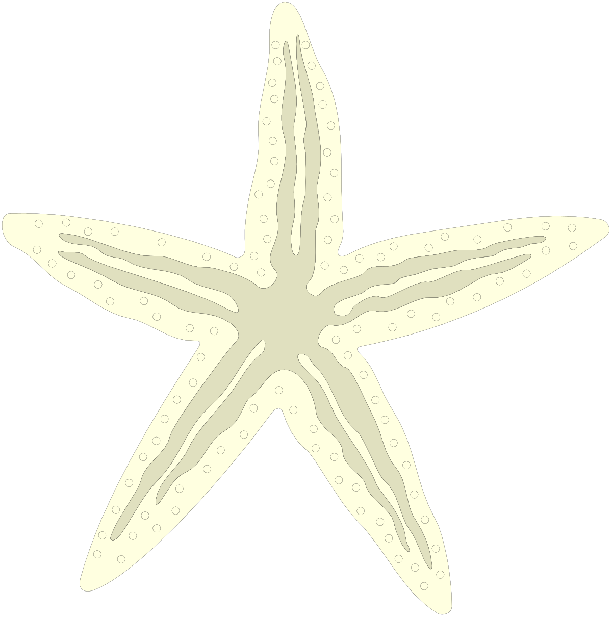 Starfish Clipart: Vibrant and Playful Sea Creatures for Creative Projects