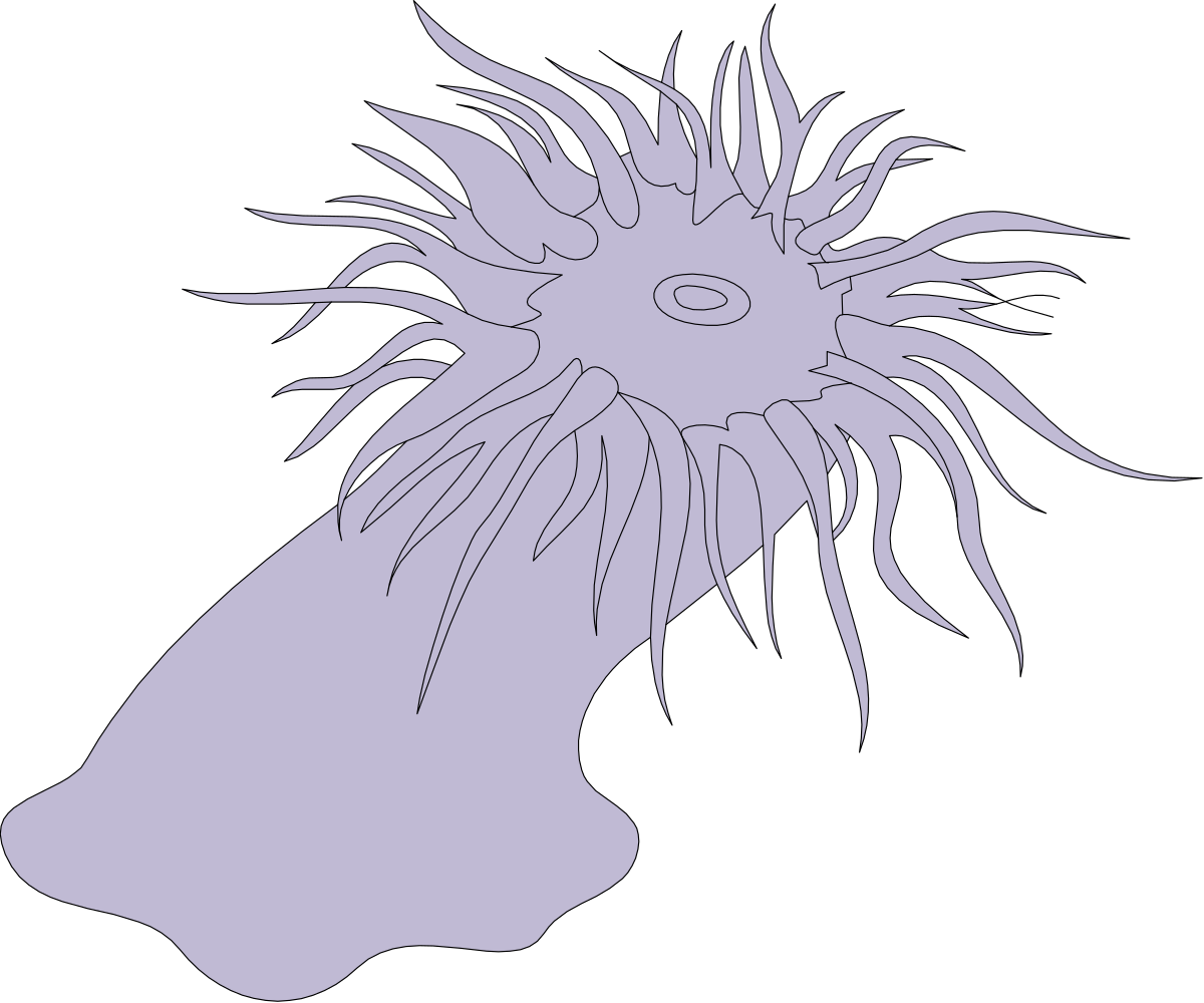 a black and white drawing of a sea creature clip art png transparent Black and White Sea Creature Clipart - Stunning Marine Life Illustrations