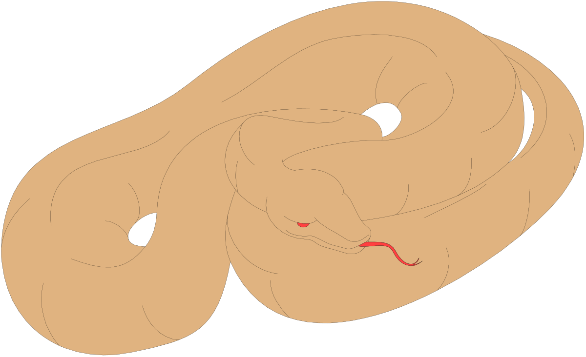 Stomach Illustration for Health and Wellness Clipart