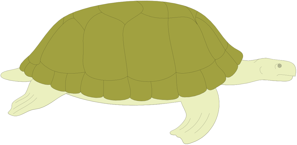 a turtle with a black background clip art png transparent Turtle on Black Background Clipart - Stunning SVG Illustration