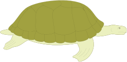 Turtle on Black Background Clipart - Stunning SVG Illustration
