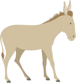 Donkey Standing on Black Background - High-Quality Clipart