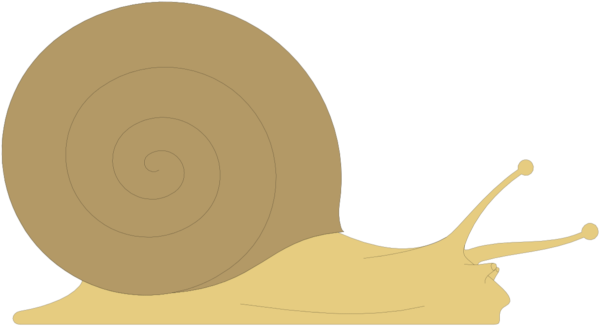 Snail with Open Shell Clipart - Unique and Detailed SVG Illustration