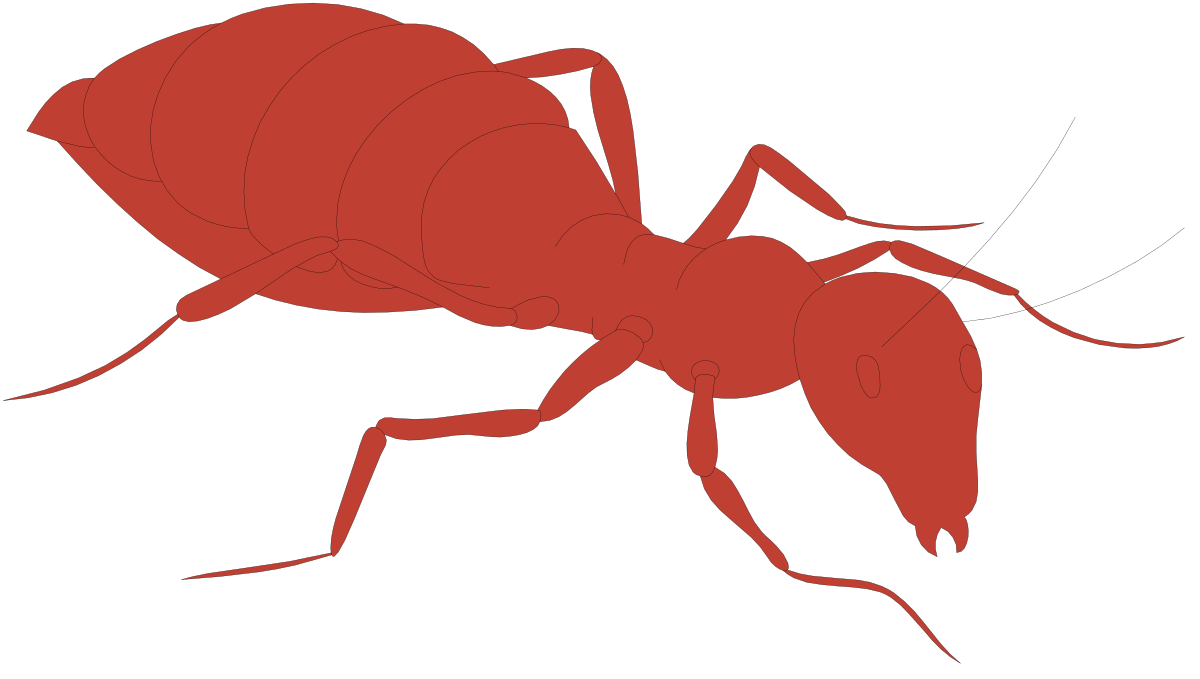 a red ant ant ant ant ant ant ant ant ant ant ant ant ant ant ant ant ant ant ant ant ant ant ant ant ant ant clip art png transparent Red Ant Clipart: Vibrant and Detailed Insect Illustrations