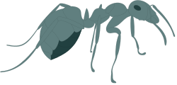 Animals,Insects,CS000393 clipart